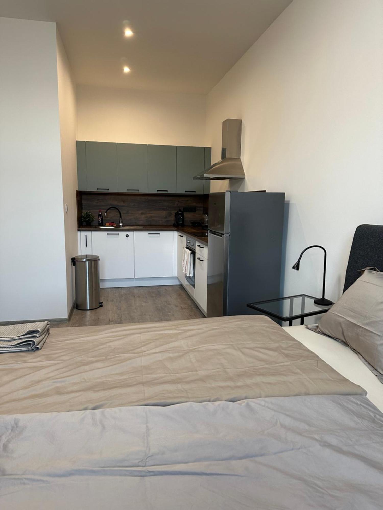 Apartman Palackeho Табор Екстериор снимка